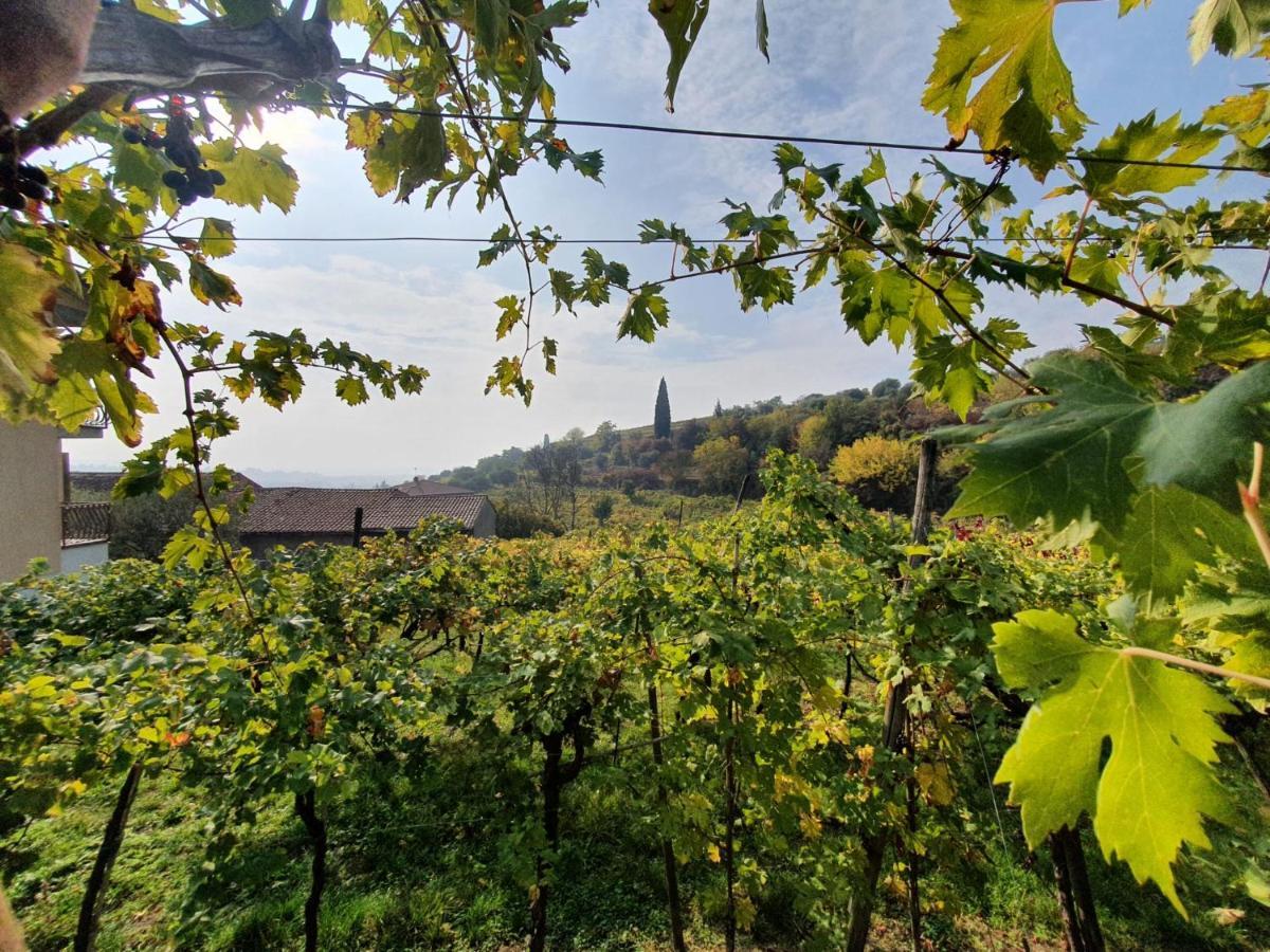 L'Antico Granaio Negrar Exterior foto
